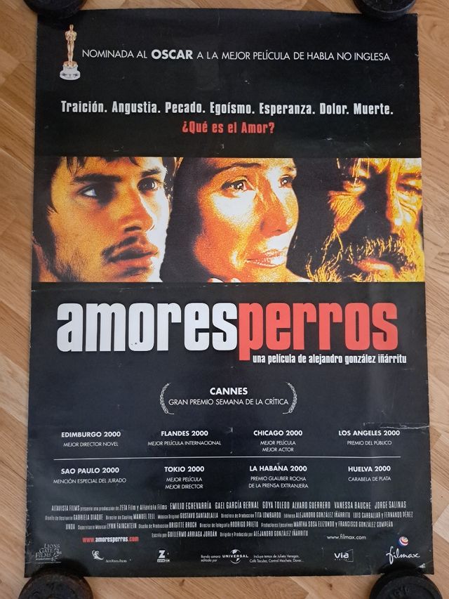 Póster Amores Perros