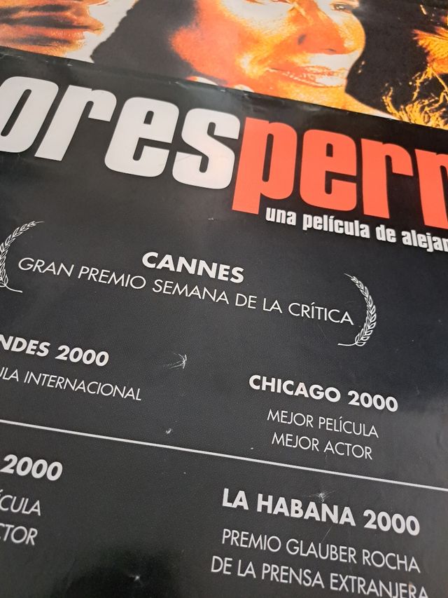 Póster Amores Perros