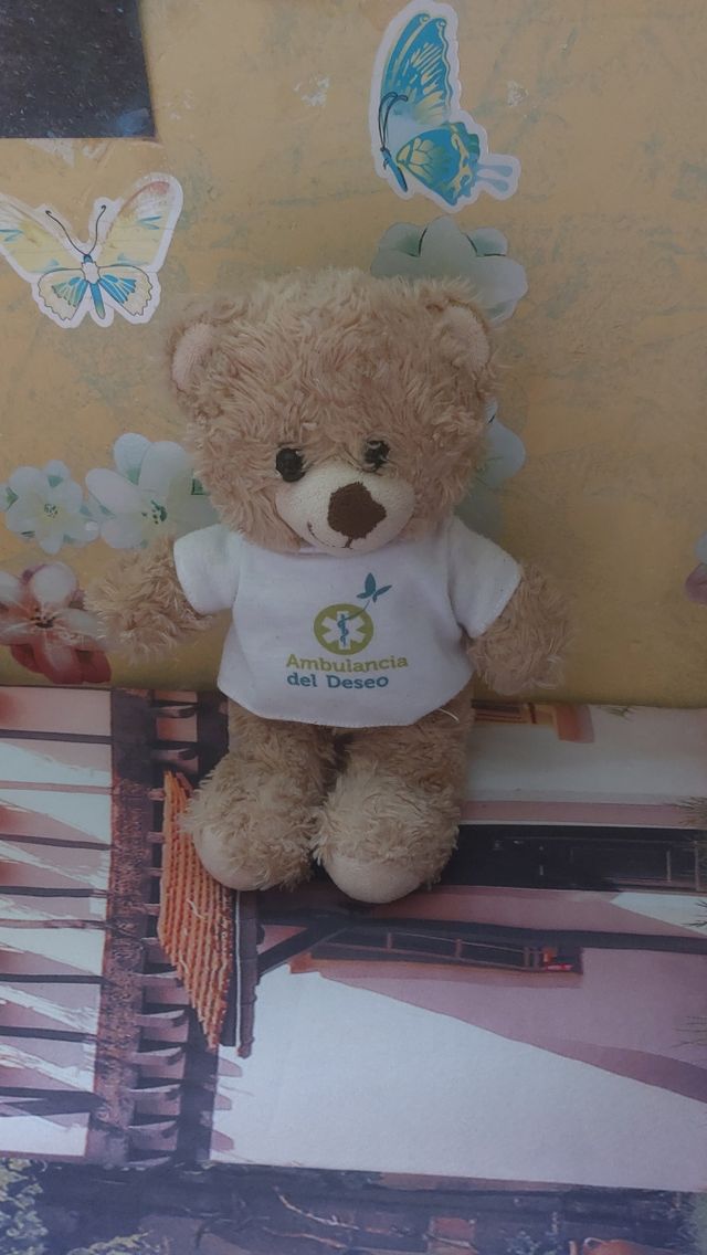 Peluche Oso Ambulancia del Deseo