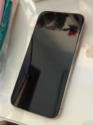 iPhone 13 Pro Max oro