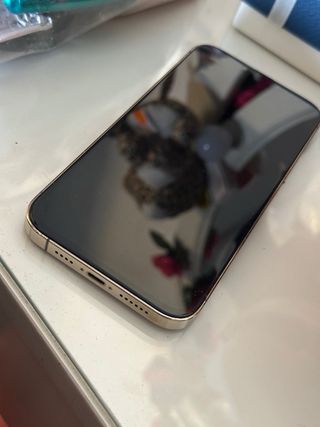 iPhone 13 Pro Max oro