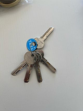 Bombín Tesa + escudo seguridad