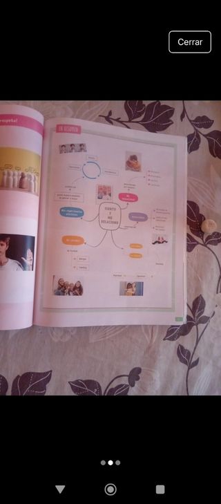 Educación en Valores Cívicos y Éticos. 