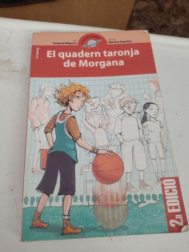 El quadern taronja de Morgana