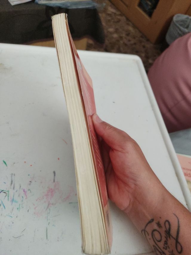 El quadern taronja de Morgana