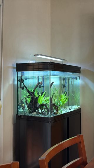 Acuario y mueble 170Lts completo