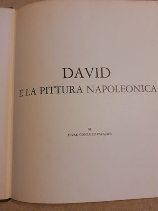Libro David e la pittura napoleonica