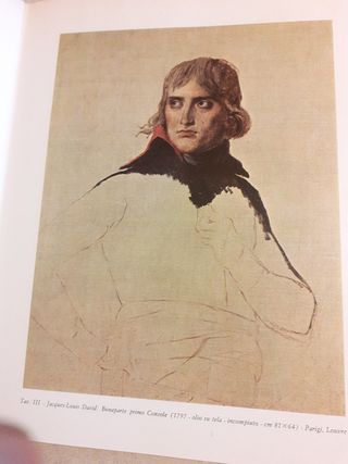 Libro David e la pittura napoleonica