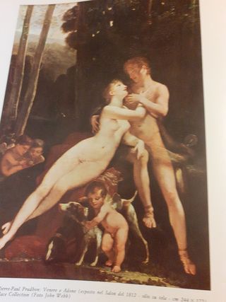 Libro David e la pittura napoleonica