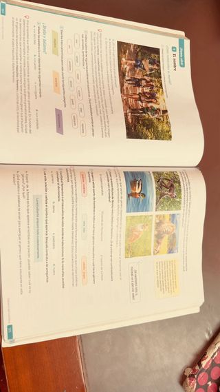 Lengua Castellana y Literatura. 1 Secundaria. R...