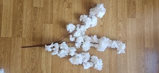 Ramas almendro blanco 