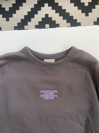Sudadera Gris - Common Noise