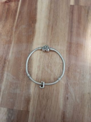 Charm pandora (J)