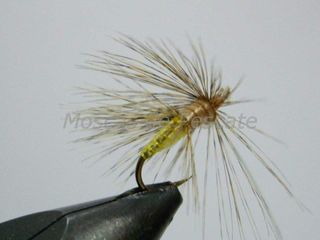 MOSCAS AHOGADAS 2026 PARA LA PESCA DE LA TRUCHA