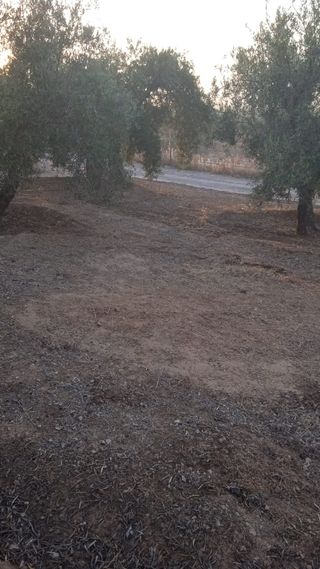Parcela rustica en Atarfe 