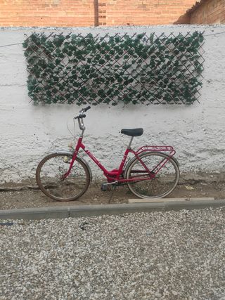 Bicicleta BH 24" roja vintage