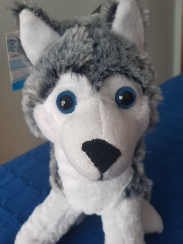 Peluche Husky Siberiano