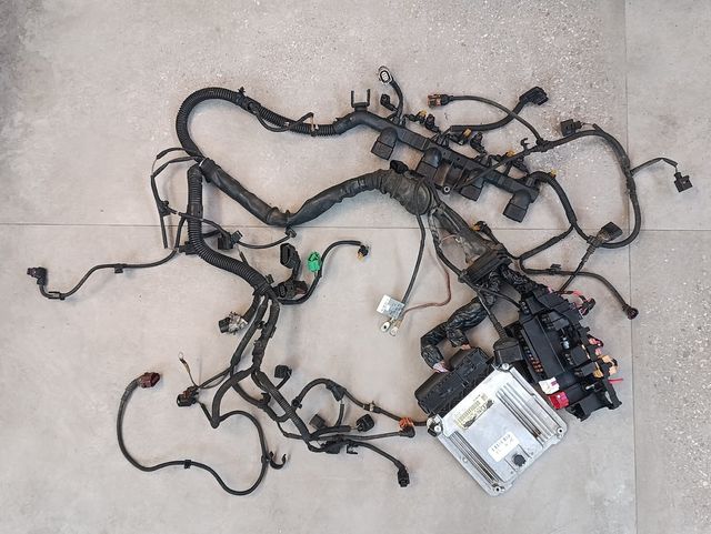 CENTRALITA MOTOR CON CABLEADO AUDI REF: 8K2907115S