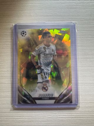 Rodrygo 75/75