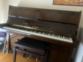 Piano Petrof - Piano Acústico