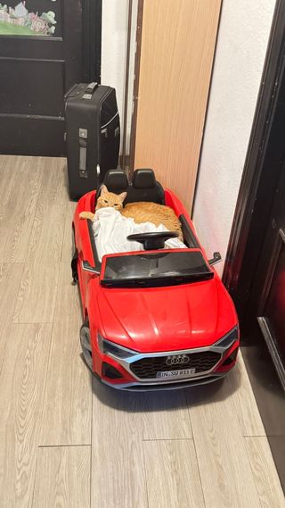 Coche Audi eléctrico infantil