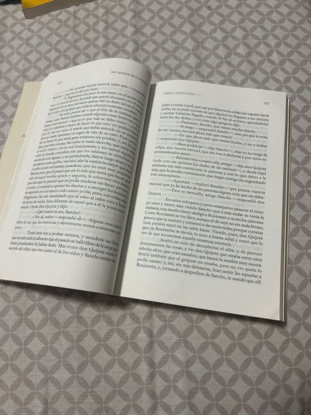 Don Quijote de la mancha (Spanish Edition)