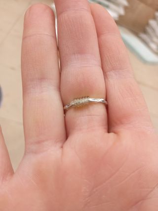 Adaptadores de anillos