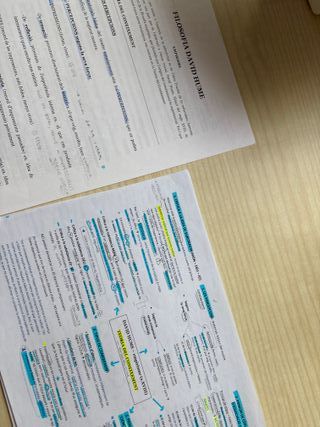 Apunts Filosofia: Esquemes Complets