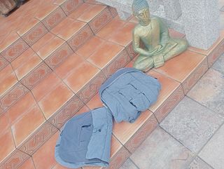 Sacos Bugaboo . -2 unidades 
