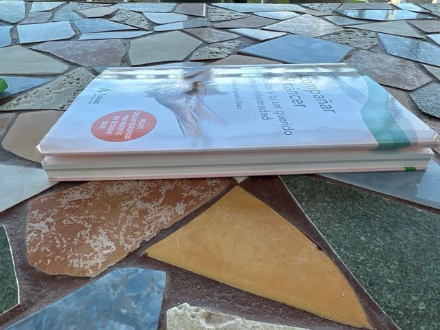 Acompañar el cáncer: Guía para cuidar a tu ser ...