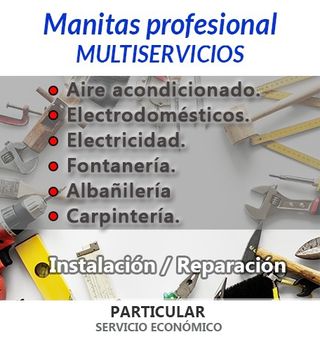 Manitas Profesional Multiservicios,.