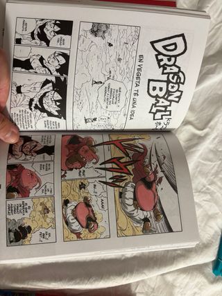 Bola de Drac nº 34/34 PDA