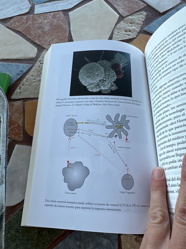 La inmunoterapia y la carrera para curar el cán...