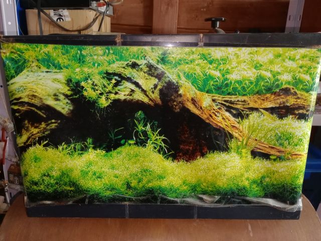 Pecera pequeña con decoración