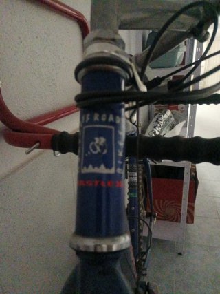 Bicicleta montaña vintage.