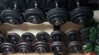 Mancuernas y mancuernaro