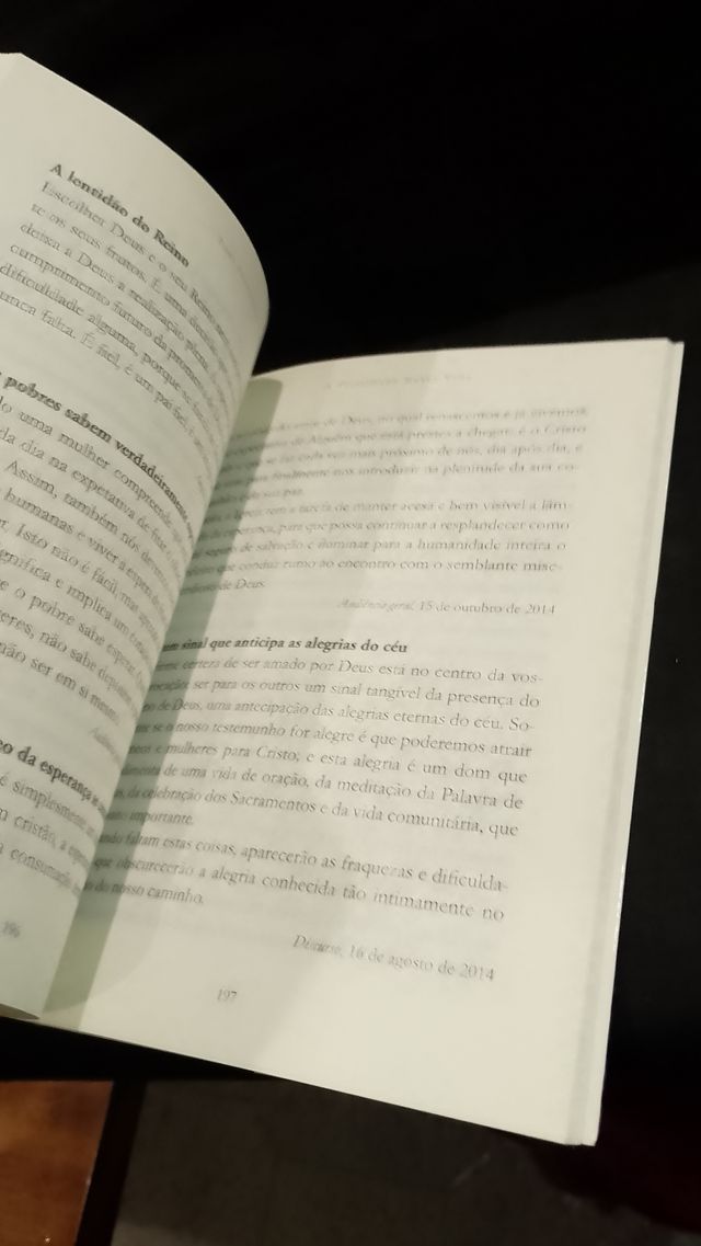 A Felicidade nesta Vida - Papa Francisco