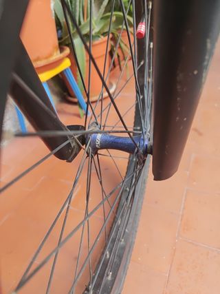 BMX Cobra Monster Energy