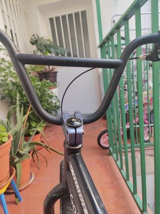 BMX Cobra Monster Energy