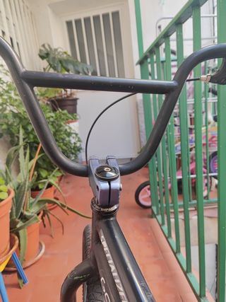 BMX Cobra Monster Energy