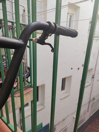 BMX Cobra Monster Energy