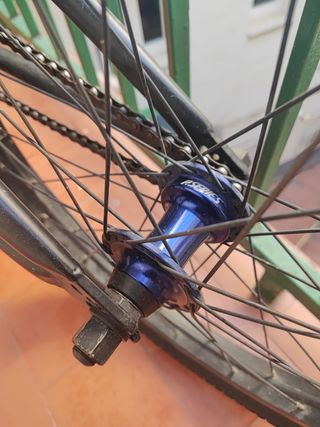 BMX Cobra Monster Energy