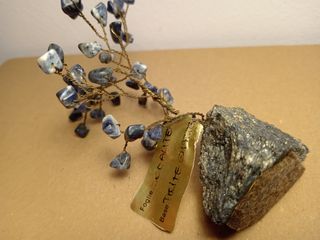 Albero portafortuna Sodalite
