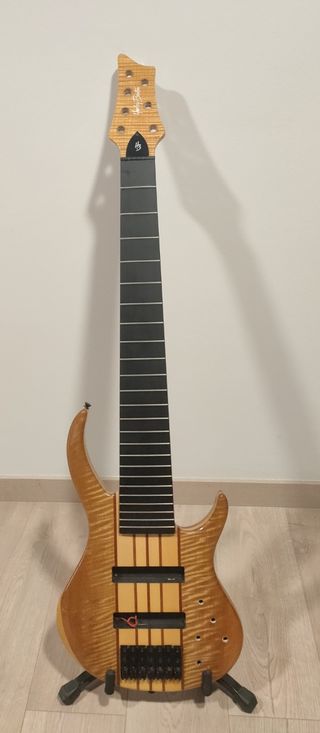 Vendo cuerpo y mástil de Bajo de 7 cuerdas