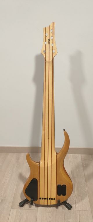 Vendo cuerpo y mástil de Bajo de 7 cuerdas