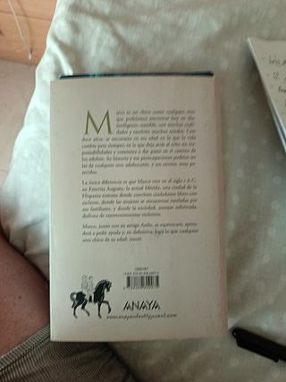 El chico de la flecha (Spanish Edition)