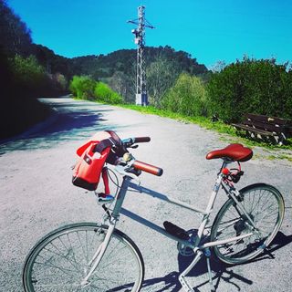 Bicicleta urbana vintage Bibbo Gekko