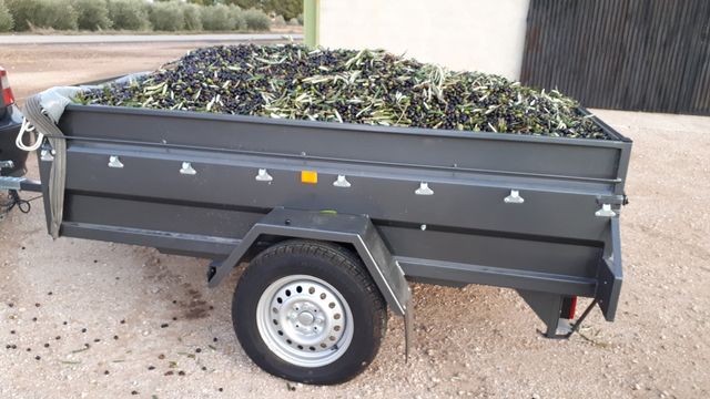 Remolque portamotos y de carga.