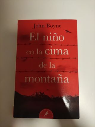 El niño en la cima de la montaña 