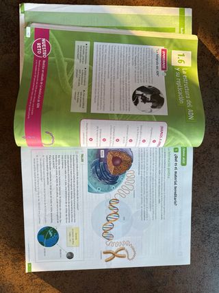 Biología y Geología. 4 Secundaria. Revuela